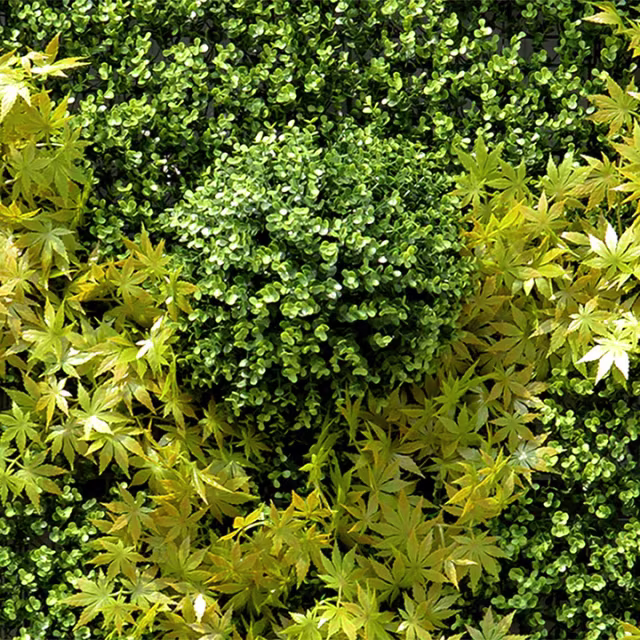 Enduraleaf Faux 4' x 8' Green Wallscape Kit - Boxwood, Half-balls, Maple Ivy