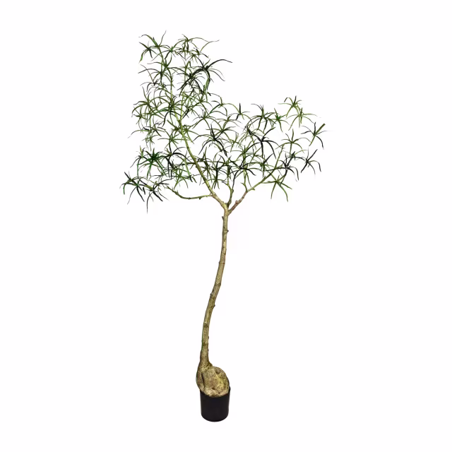 Pottery Pots 79" Faux Queensland Bottle Tree