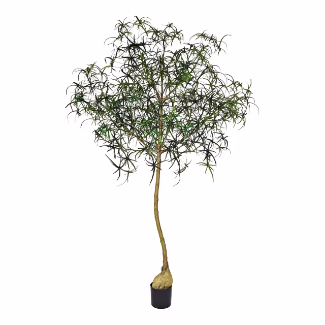 Pottery Pots 94" Faux Queensland Bottle Tree