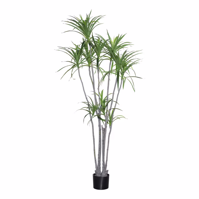 Pottery Pots 91" Faux Dracaena Marginata