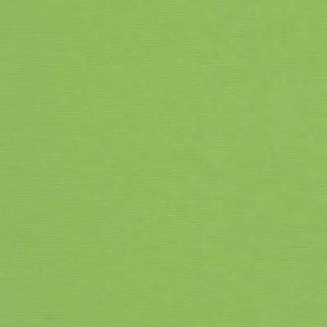 Sunbrella Canvas Ginkgo Indoor/Outdoor Fabric