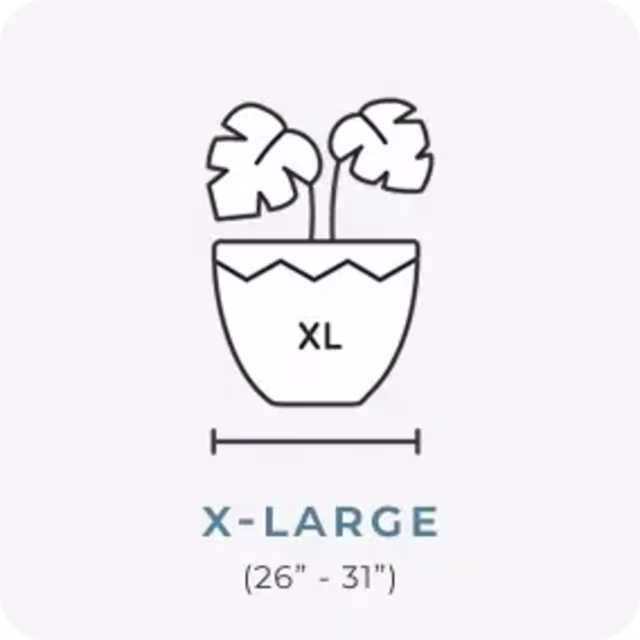 Extra large planter icon