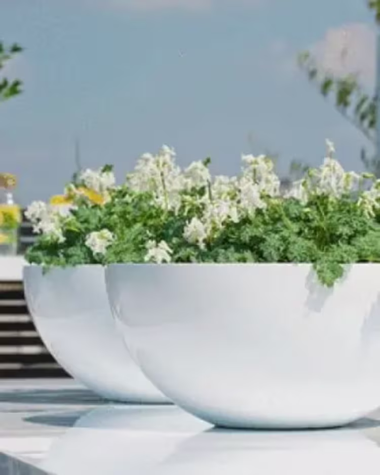 Bowl planters figure image