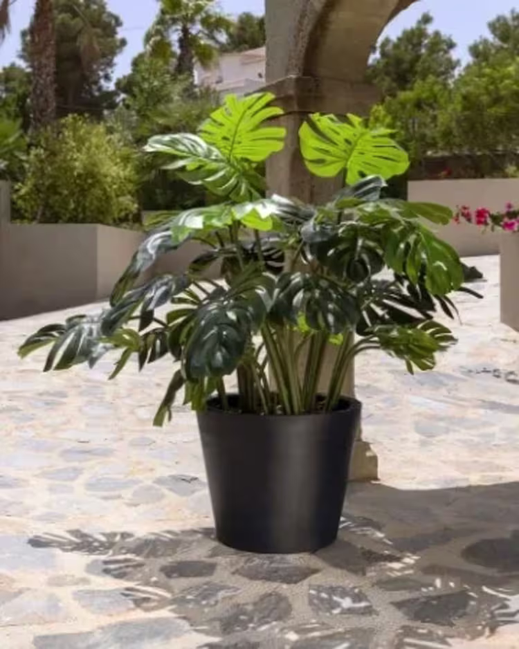 Shop artificial outdoor plants figure image