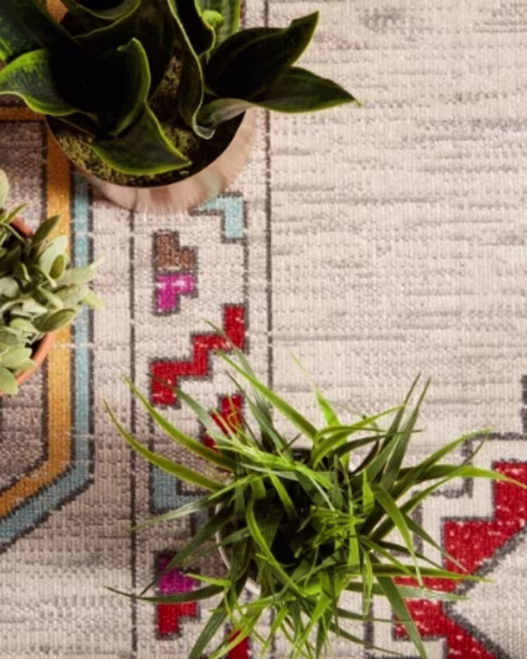Shop bordered rugs figure image