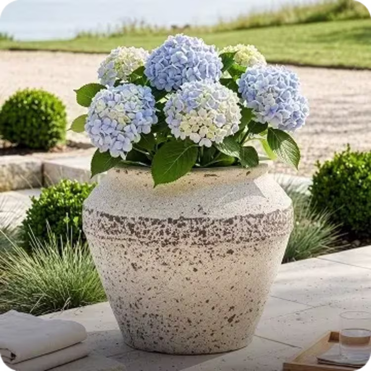 Shop planters image