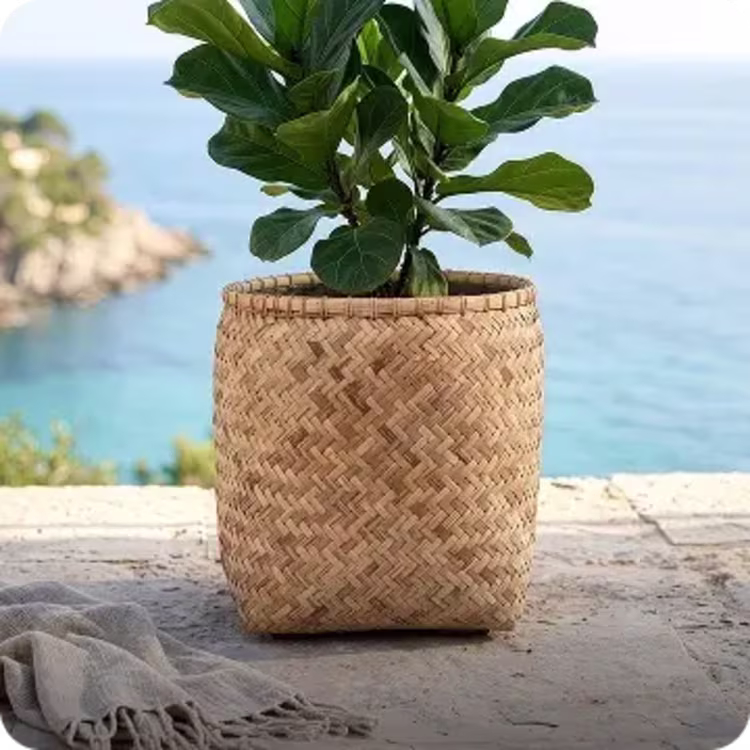 Shop Bohemian image