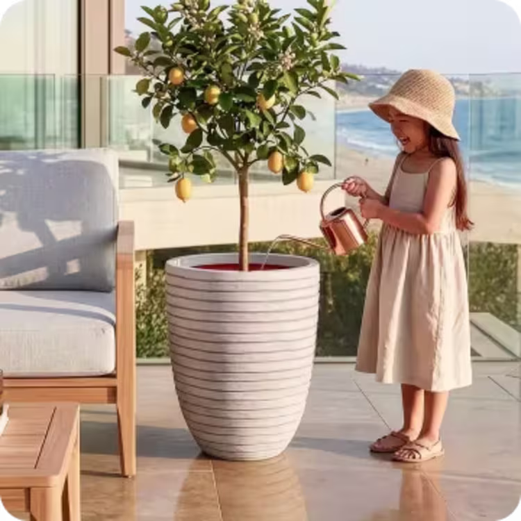 Shop Planters figure image
