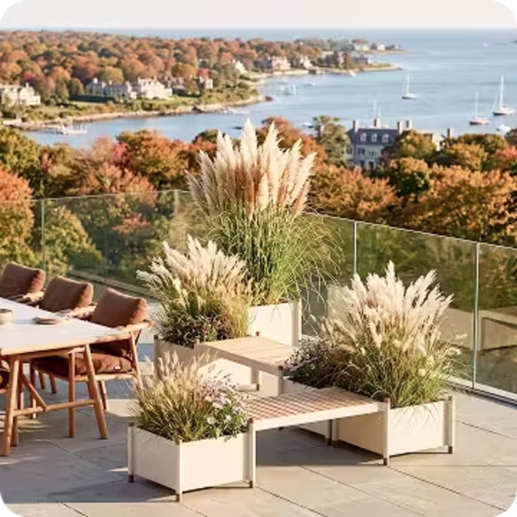 Outdoor planters filled with ornamental grasses on a coastal patio.