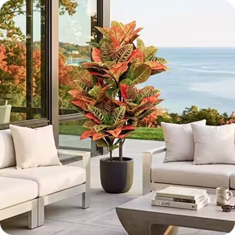 Colorful potted outdoor plant displayed between white cushioned lounge furniture.