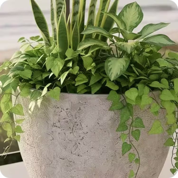 Shop Fiberglass Planters figure image