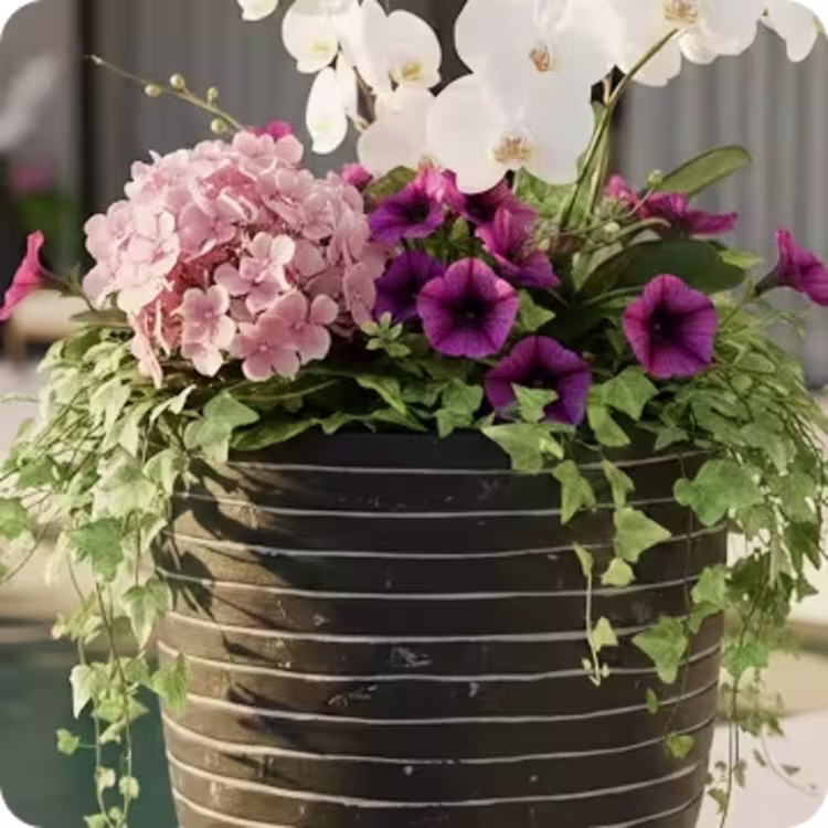 Shop Polymer Planters figure image