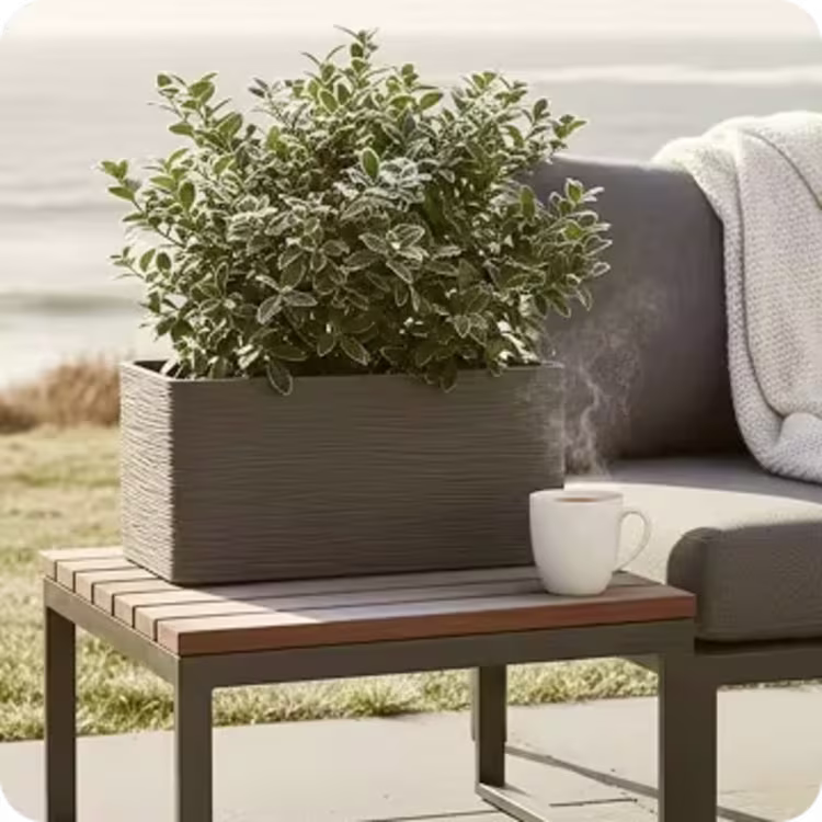 Shop Frost-Resistant Planters figure image