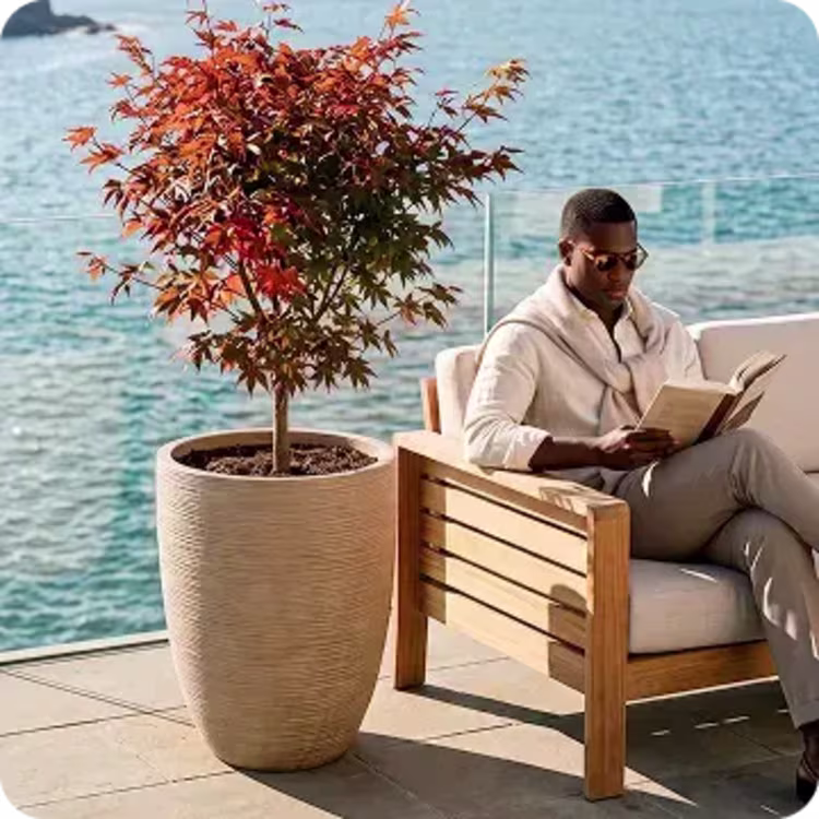 Man reading beside a potted Japanese maple on a waterfront patio.