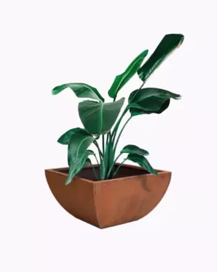Shop planter pots figure image