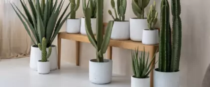 artificial terrarium plants REPTIZOO - Terrarium Decoration - Terrarium Plant