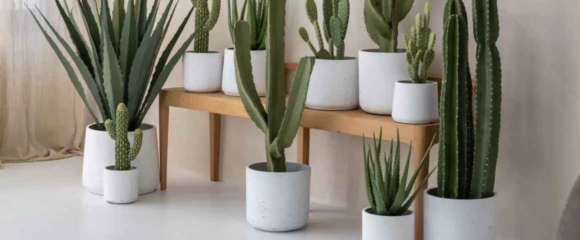 The best artificial plants for the outdoors | AuthenTEAK