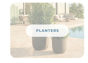 Shop Planters