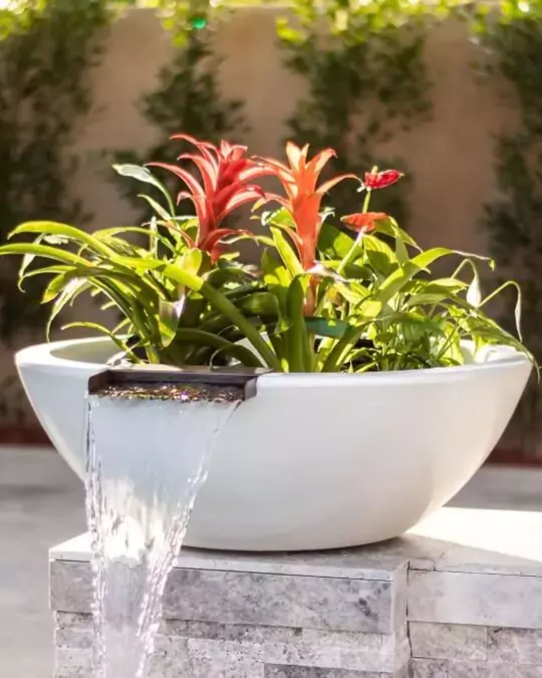 Planter water bowls figure image