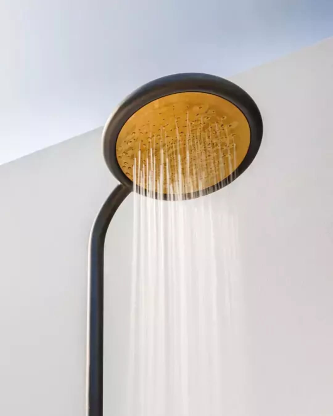 Showers figure image