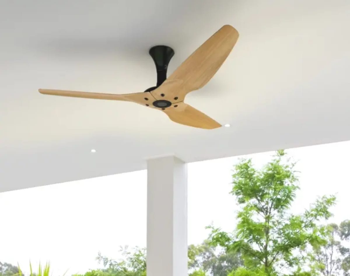Functional, fashionable fans