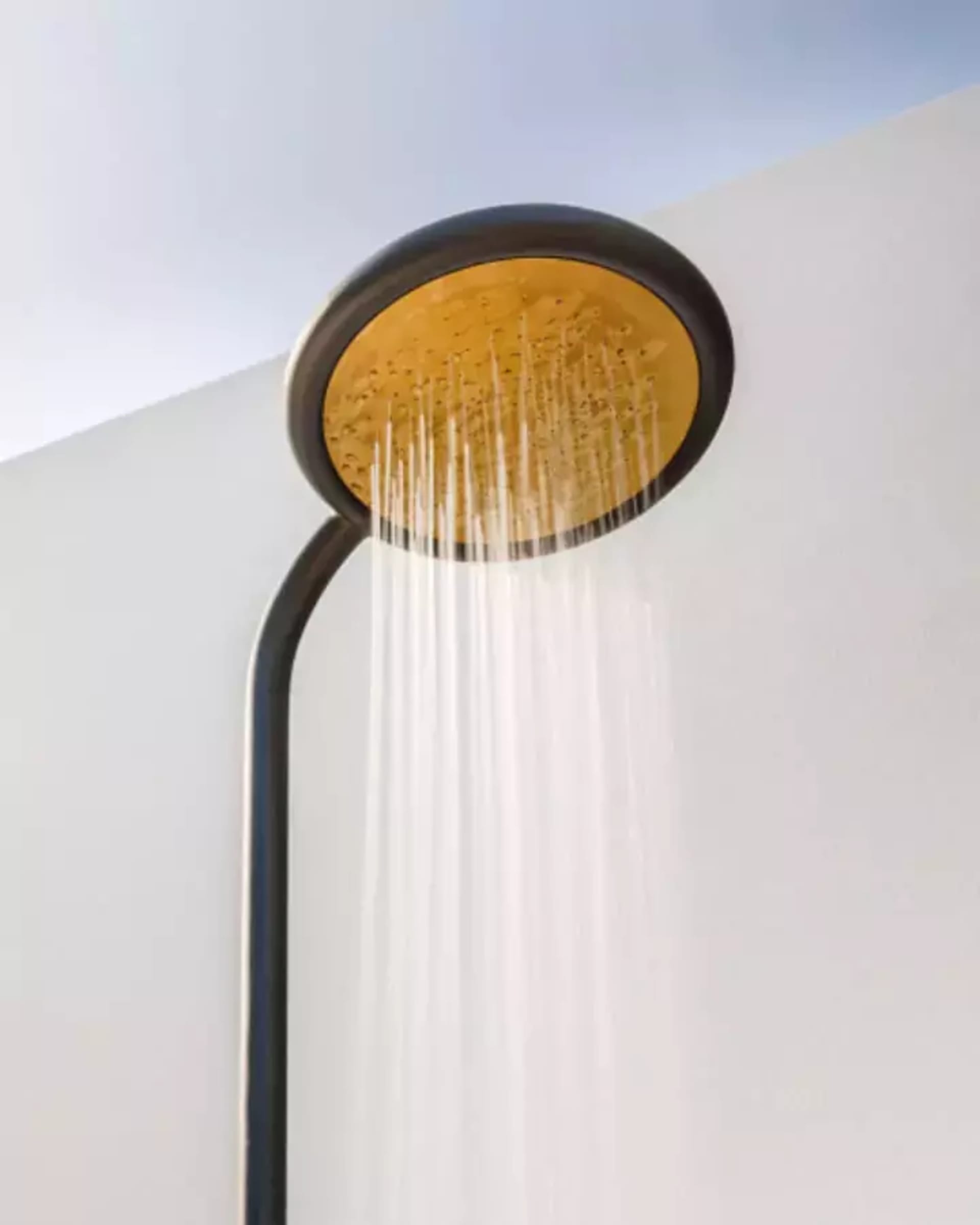 Showers & garden hoses figure image