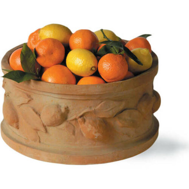 Capital Garden Citrus Round Planter