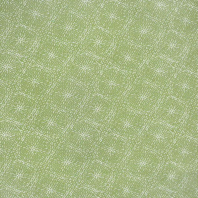 Silver State Copeland Aloe Indoor/Outdoor Fabric