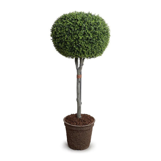 Enduraleaf 64" Faux Boxwood Pumpkin Topiary