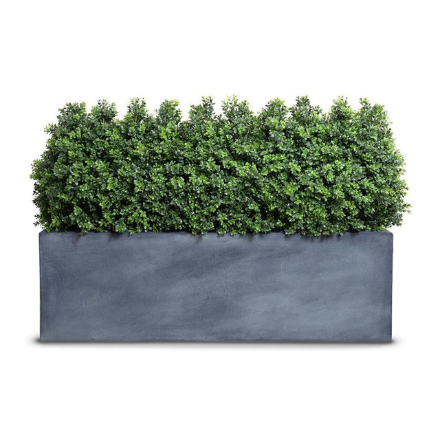 Enduraleaf 24" Faux Boxwood Shrubs in Planter