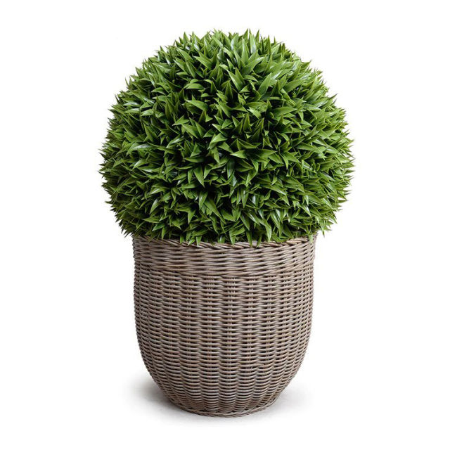 Enduraleaf 23" Faux Broadleaf Podocarpus Ball in 18" Basket