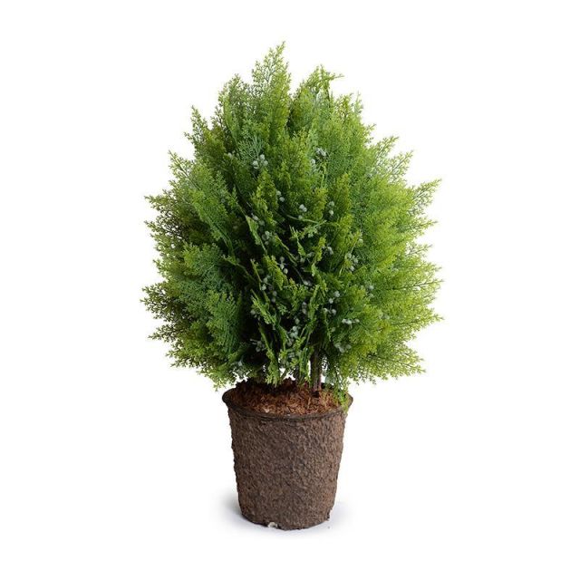 Enduraleaf 32" Faux Arborvitae Shrub