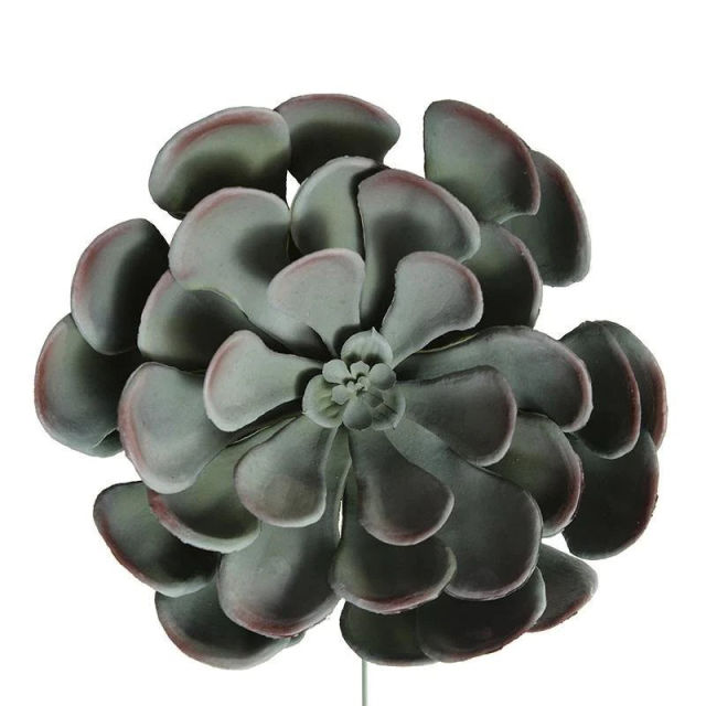 Enduraleaf Faux Aeonium Succulent Pick - Set of 12