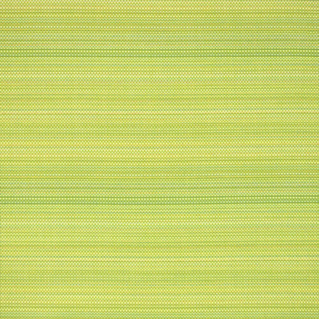 Silver State Magic Lime Indoor/Outdoor Fabric