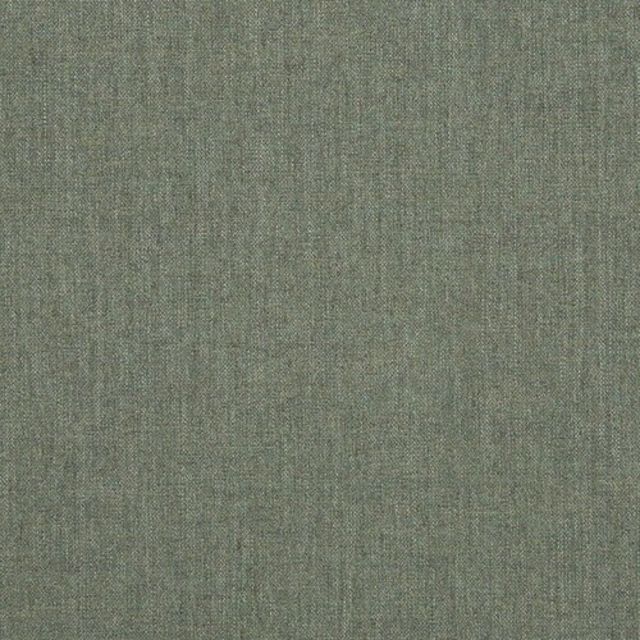 Sunbrella Cast Sage Indoor/Outdoor Fabric