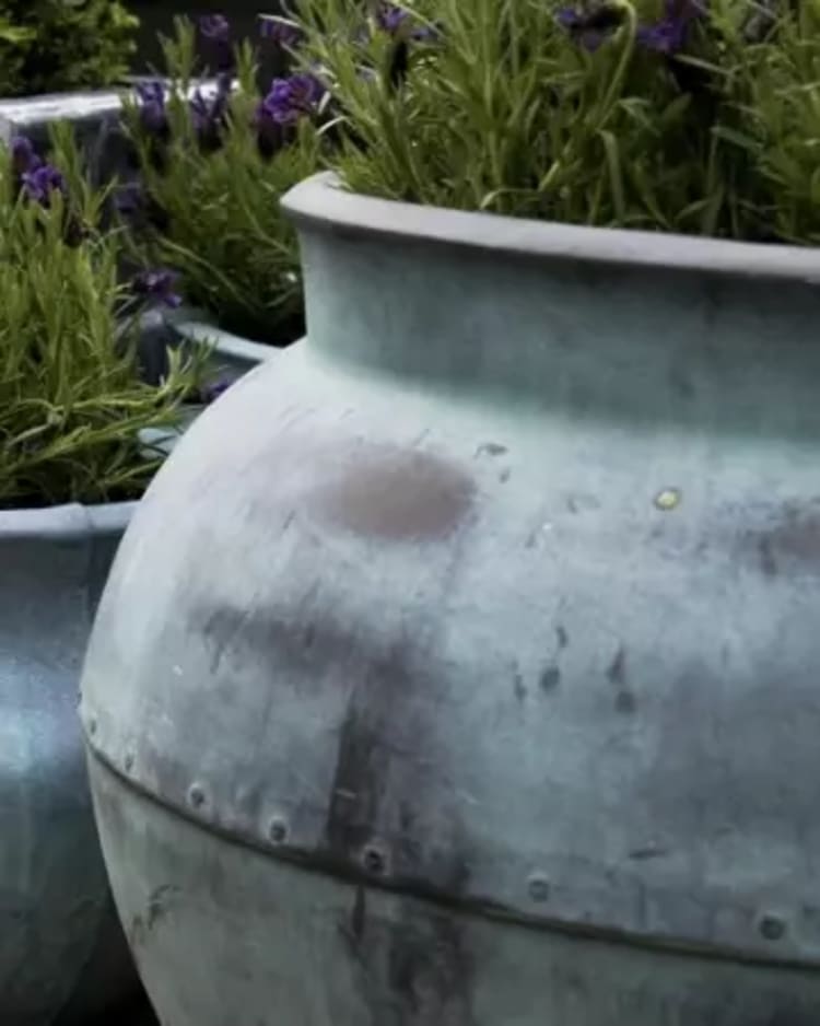 Bowl planters