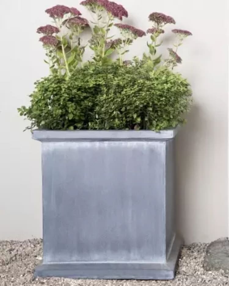 Box planters figure image