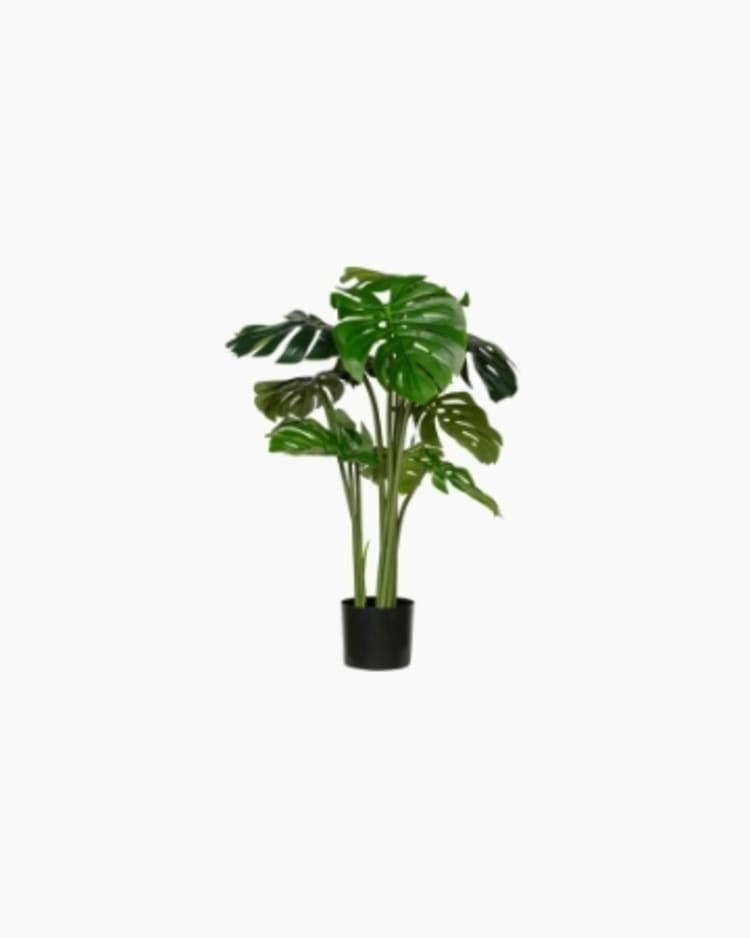 Shop faux plants figure image