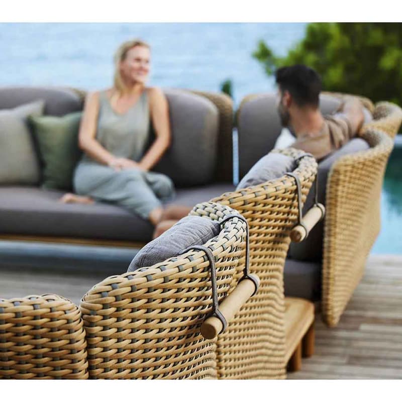 Couch Cane Assembly, Having trouble standing up or sitting down? The Couch  Cane is here for you! It is easy to assemble and adjust perfectly with any  couch or chair. Learn