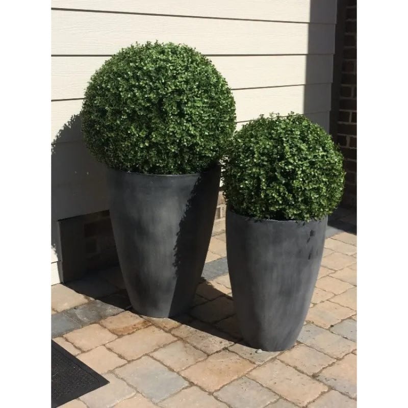 Boxwood Greenery Balls 21.5 Inch 