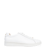 Whimbrel White Leather & Gold Star Sneakers