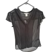 Sheer Pleated Blouse