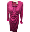 Ruched Feather Dress