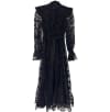 Sheer Midi Dress