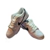 Nike SB Dunk Low Pro
