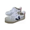 Low Top Sneakers