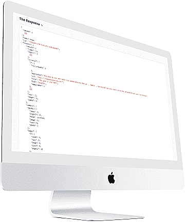 Example of API response data