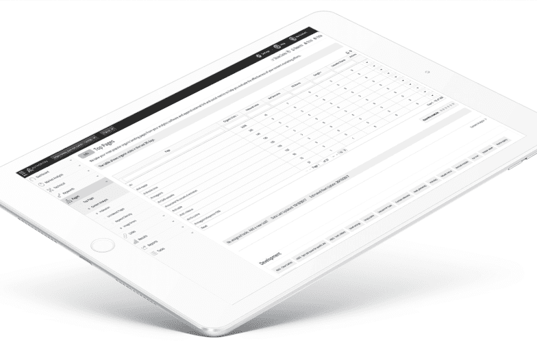 Authoritas Top Website Pages Tool