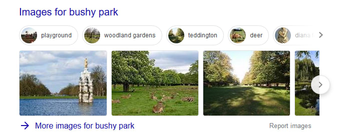I - Images - Screenshot_2020-02-03 bushy park - Google Search(1)