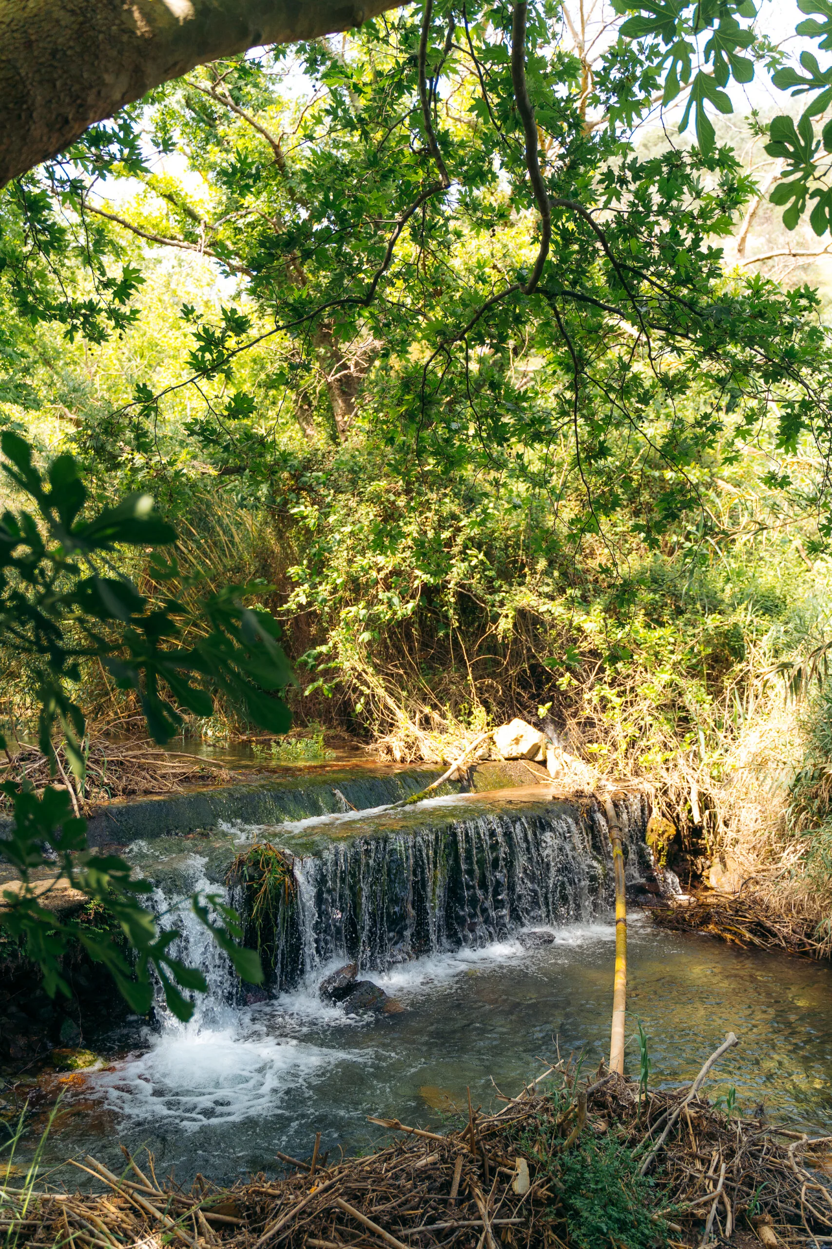 fodele-village-river fodele-village-river